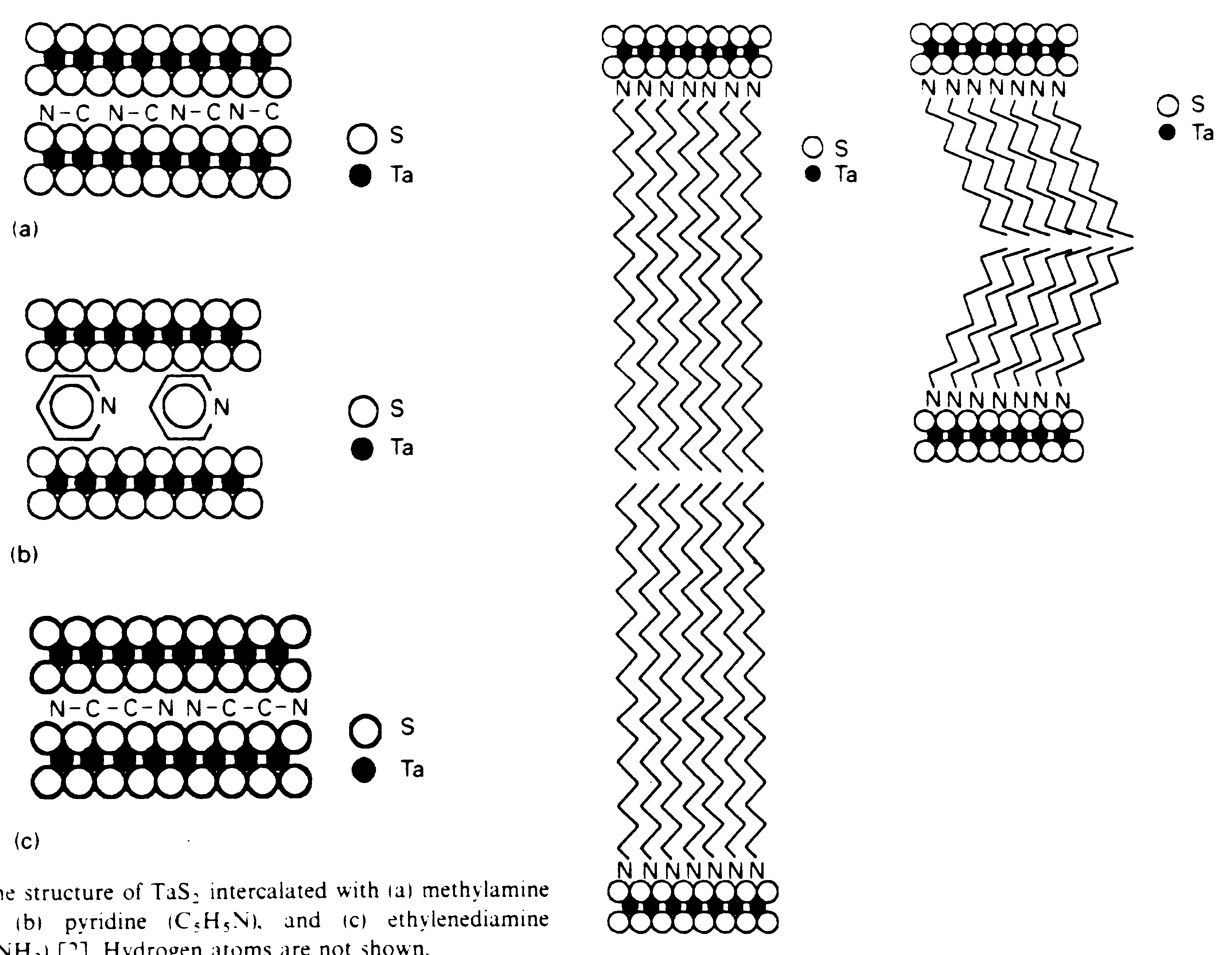 structure.gif (118121 bytes)