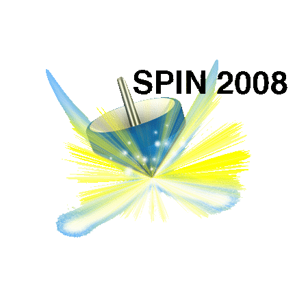 SPIN2008 logo