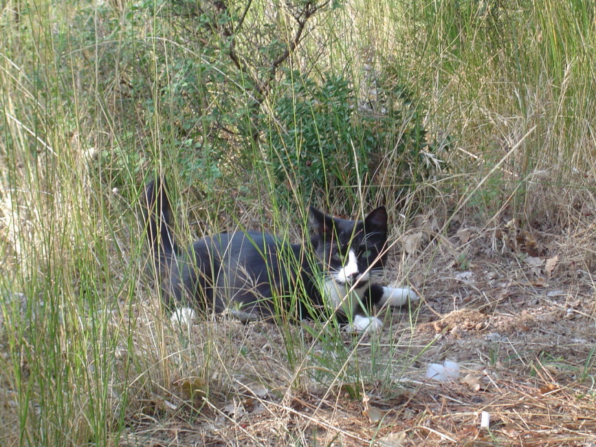 DSC04925